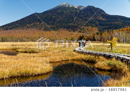 草紅葉の尾瀬ヶ原の池塘と新雪の燧ヶ岳 38857981