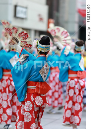 よさこい よさこい 38858190