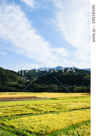 秋の農村風景 38858496