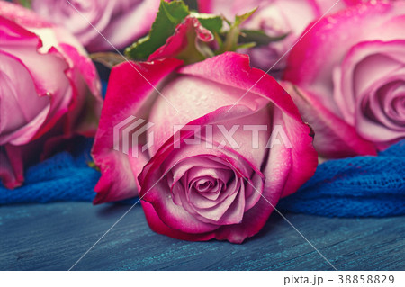 Bouquet of red roses on a blue Bouquet of red roses on a blue 38858829