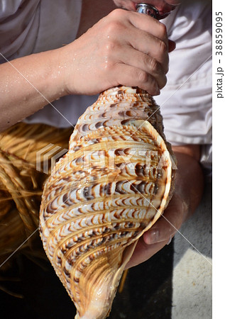 東京都無形民俗文化財の水止舞 38859095