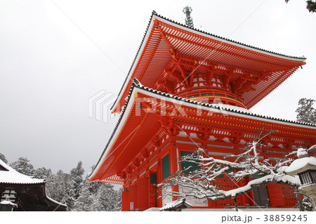 高野山 根本大塔 38859245