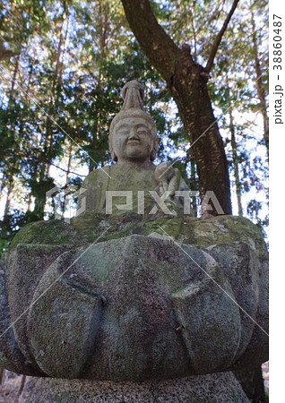 信州の文化財　名工　守屋貞治の石仏　福岡東の聖観世音菩薩像　広角仰観（長野県駒ヶ根市福岡東） 38860487