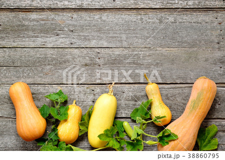 Pampkin and zucchini with green leaves on vintage 38860795