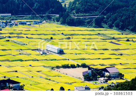 秋の農村風景 38861503