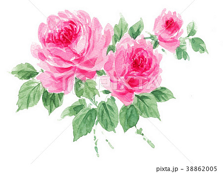 roses18311pix7 roses18311pix7 38862005