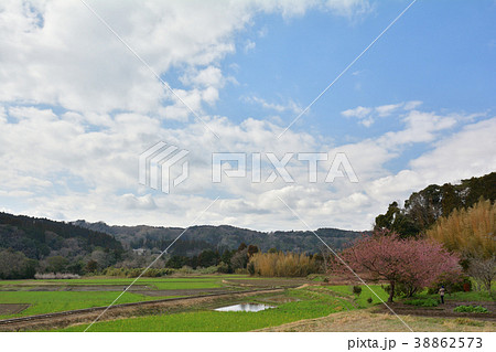 房総・小湊鉄道と菜の花畑 38862573