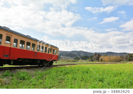 房総・小湊鉄道と菜の花畑 房総・小湊鉄道と菜の花畑 38862620