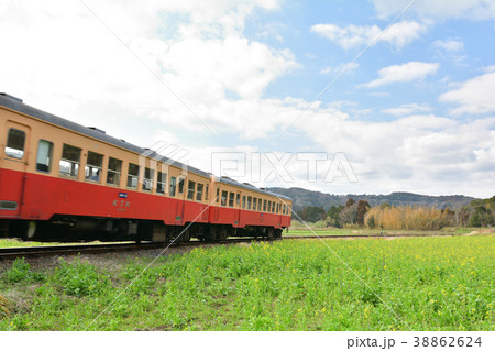 房総・小湊鉄道と菜の花畑 房総・小湊鉄道と菜の花畑 38862624