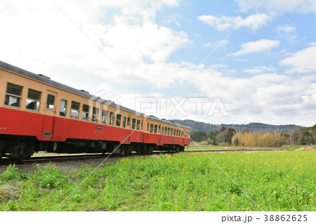房総・小湊鉄道と菜の花畑 房総・小湊鉄道と菜の花畑 38862625