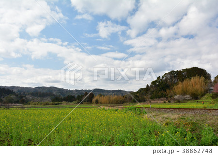 房総・小湊鉄道と菜の花畑 房総・小湊鉄道と菜の花畑 38862748