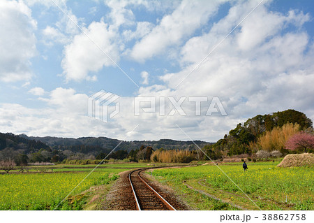 房総・小湊鉄道と菜の花畑 房総・小湊鉄道と菜の花畑 38862758