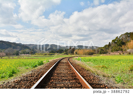 房総・小湊鉄道と菜の花畑 房総・小湊鉄道と菜の花畑 38862792