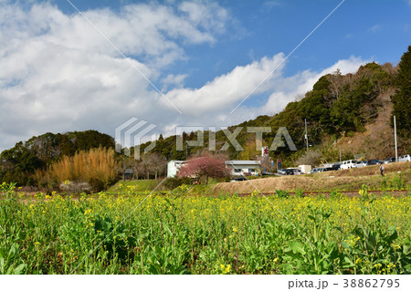 房総・小湊鉄道と菜の花畑 房総・小湊鉄道と菜の花畑 38862795