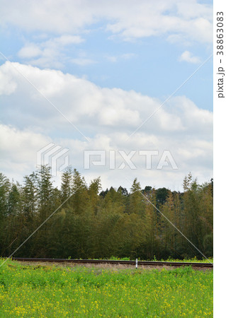 房総・小湊鉄道と菜の花畑 38863083