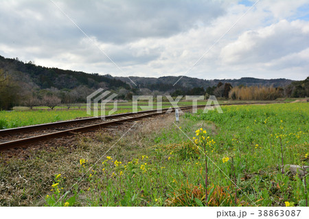 房総・小湊鉄道と菜の花畑 房総・小湊鉄道と菜の花畑 38863087