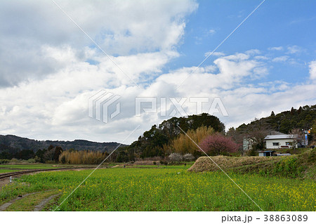房総・小湊鉄道と菜の花畑 房総・小湊鉄道と菜の花畑 38863089
