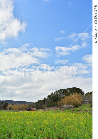 房総・小湊鉄道と菜の花畑 38863146