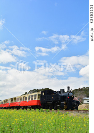 房総・小湊鉄道と菜の花畑 38863151