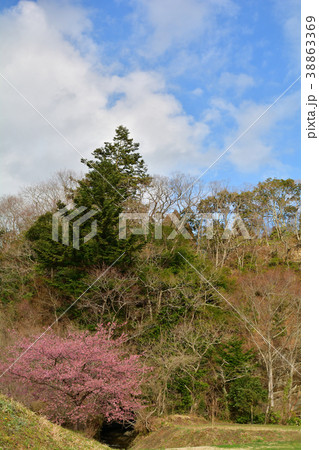 房総・養老渓谷 房総・養老渓谷 38863369