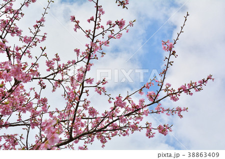 房総・養老渓谷 房総・養老渓谷 38863409