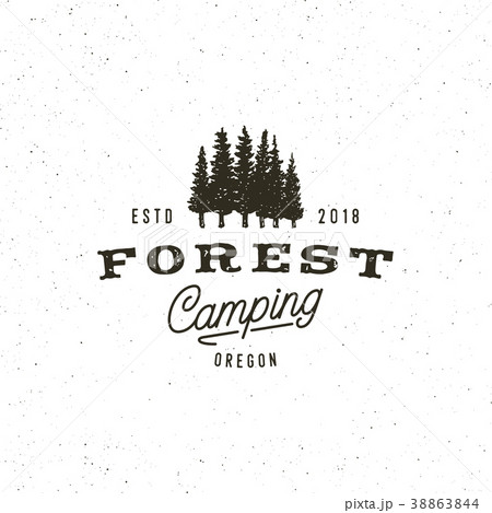 vintage wilderness logo. hand drawn retro styled 38863844