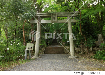 宇倍神社より 宇倍神社より 38864110