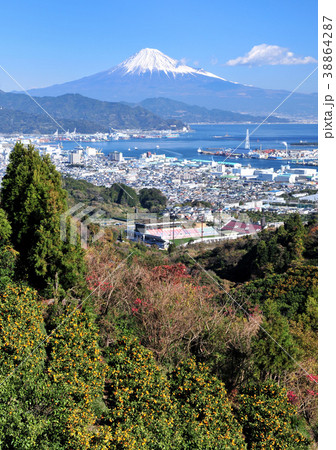 ミカン畑と富士山-8113 ミカン畑と富士山-8113 38864287