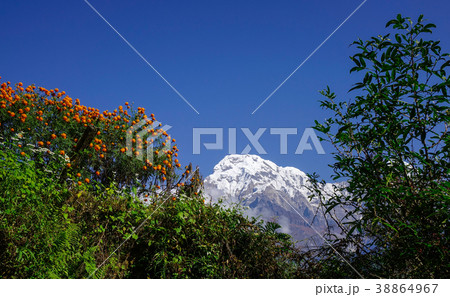 Beautiful mountain peak in snow Beautiful mountain peak in snow 38864967