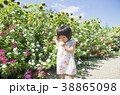夏の子供の散歩 38865098
