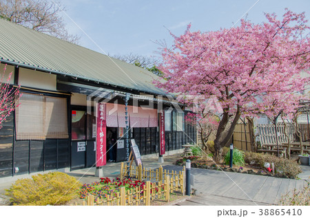 伊豆稲取文化公園の雛の館 38865410