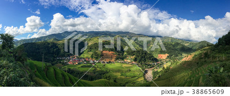 Terraced rice field at autumn 38865609