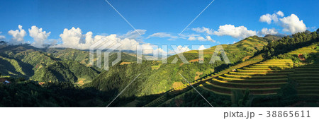Terraced rice field at autumn Terraced rice field at autumn 38865611