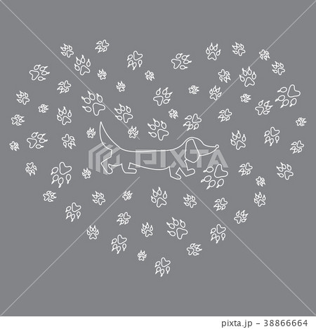dachshund silhouette 38866664
