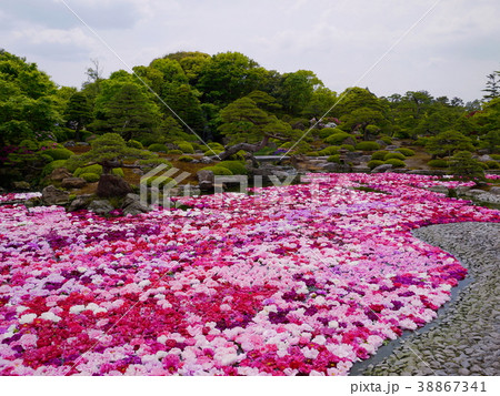 由志園　池泉牡丹 38867341