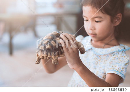 asian child girl holding and playing with turtle asian child girl holding and playing with turtle 38868659