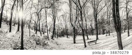 Snowy park with sun in winter, Nitra, colorless Snowy park with sun in winter, Nitra, colorless 38870279