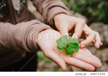 Holding a clover leave on the stretched female Holding a clover leave on the stretched female 38872200