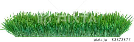 Green grass. Natural grass texture background 38872377