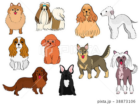 小型犬の素材 手描き カラーのイラスト素材 38873106 Pixta