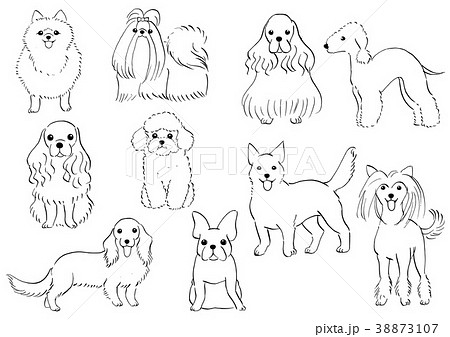 Amazon Co Jp 犬白黒手描き犬イラストかわいい犬ペット犬装飾的な