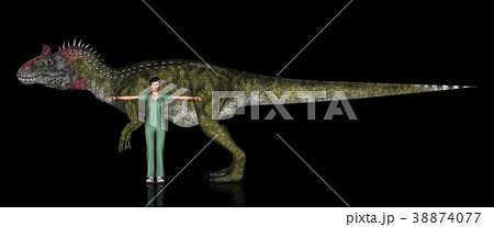 恐竜縮尺図・クリョロフォサウルス 38874077