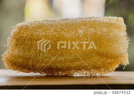 shower equipment made from fiber of zucchini . 38874532