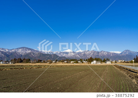 信州の風景　早春の安曇野　田園風景　　 38875292