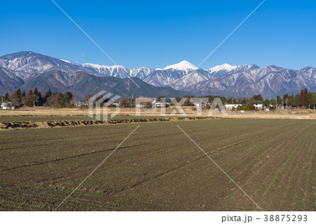 信州の風景　早春の安曇野　田園風景　　 38875293