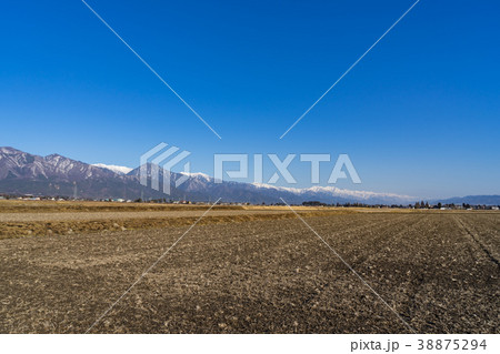 信州の風景　早春の安曇野　田園風景　　 38875294