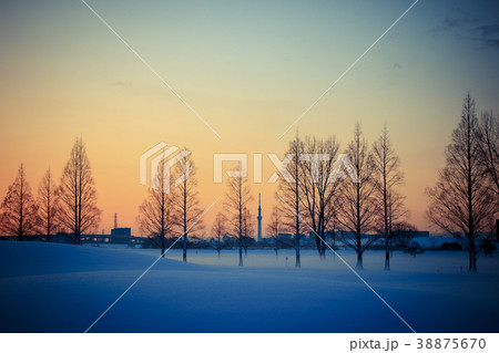 荒川河川敷の雪景色と朝焼け　遠くに東京スカイツリーを望む 38875670