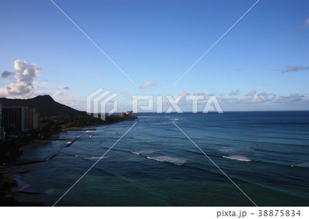 ダイヤモンドヘッド 38875834