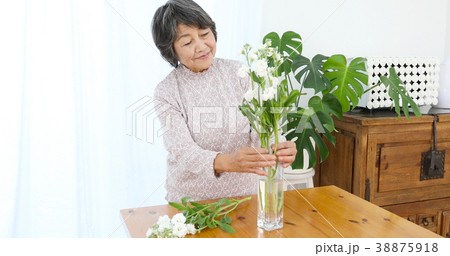 花を生けるシニア女性 38875918