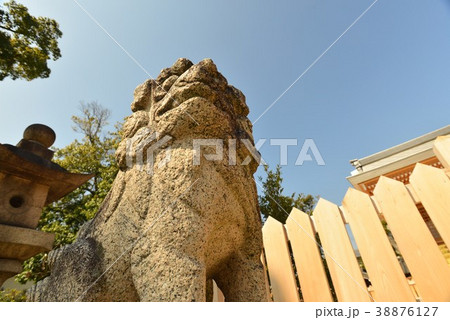 狛犬・こまいぬ 狛犬・こまいぬ 38876127